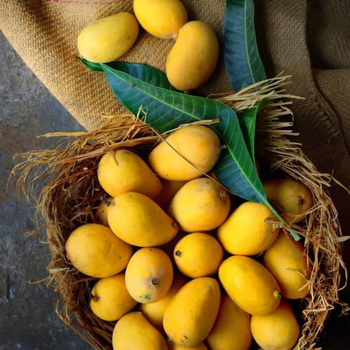 Multani Pakistani Export Quality Mangoes Online In Pakistan