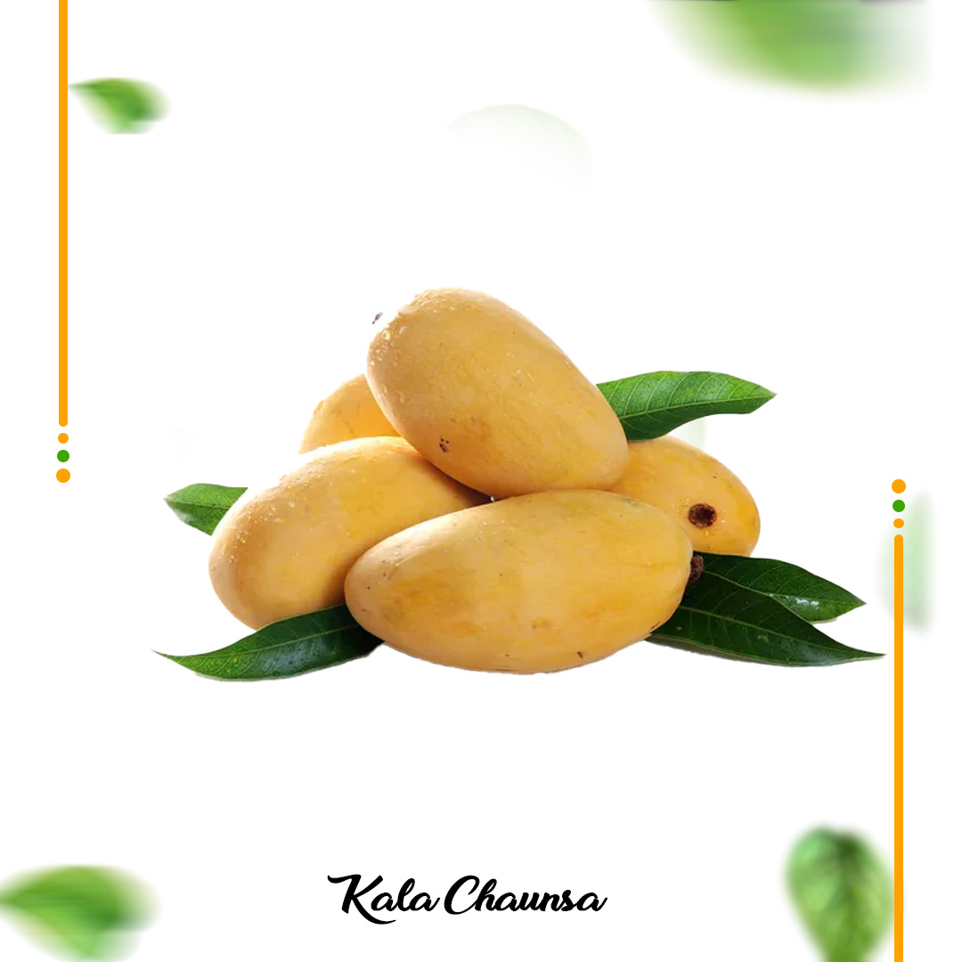 Buy Black Chaunsa Mango Export Quality Online