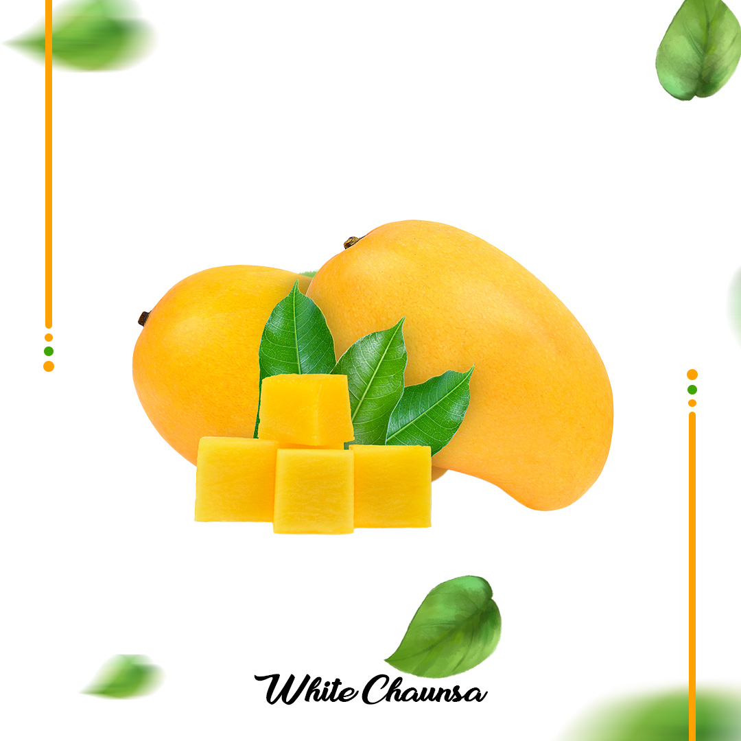 Buy White Chaunsa Mango چونسا Export Quality Online in Pakistan