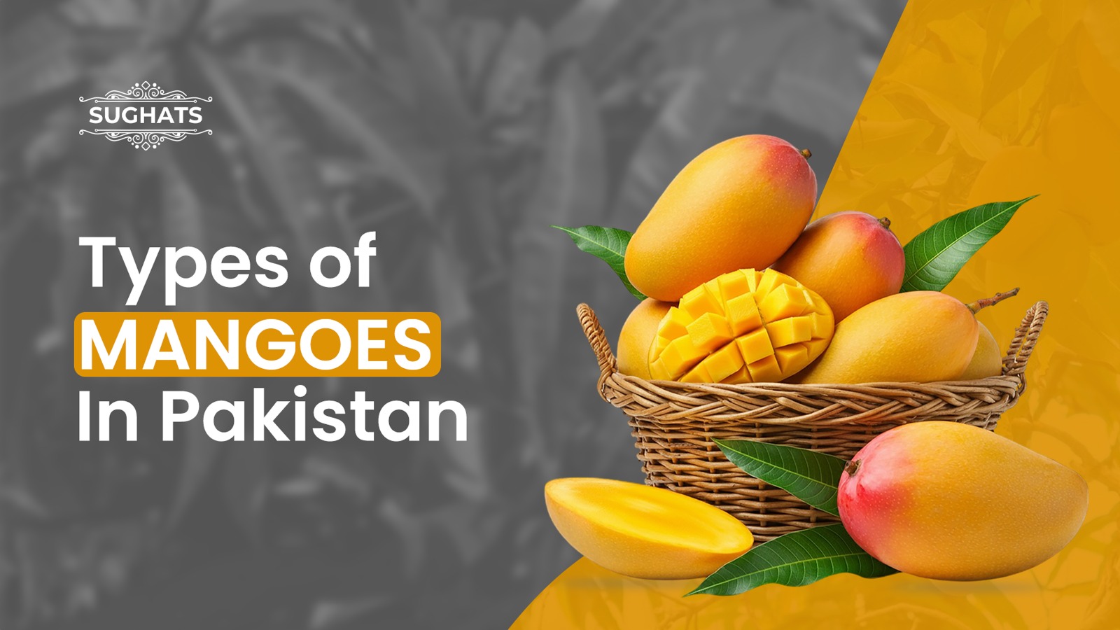 Types Of Mangoes In Pakistan