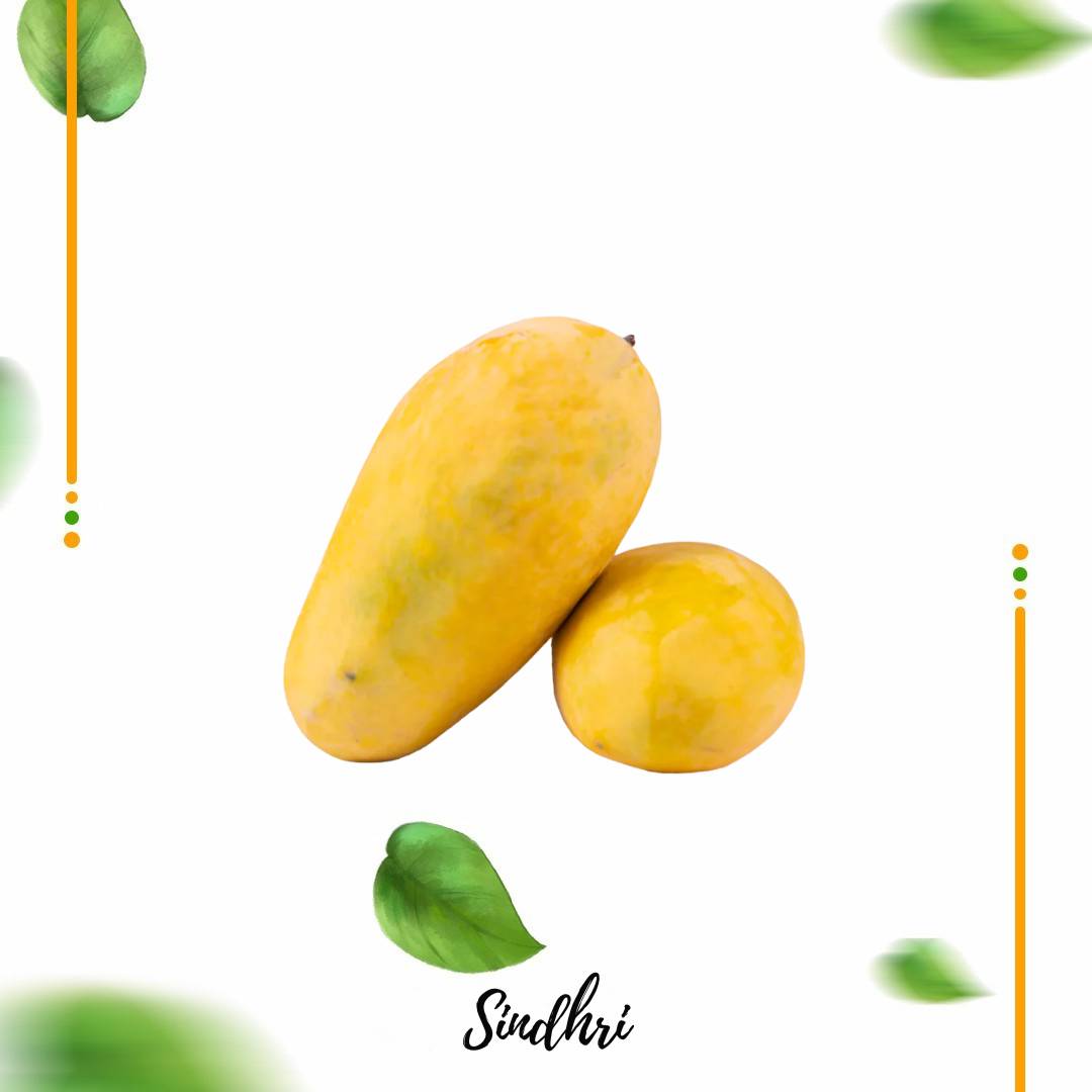 Export Quality Multani Sindhri Mangoes