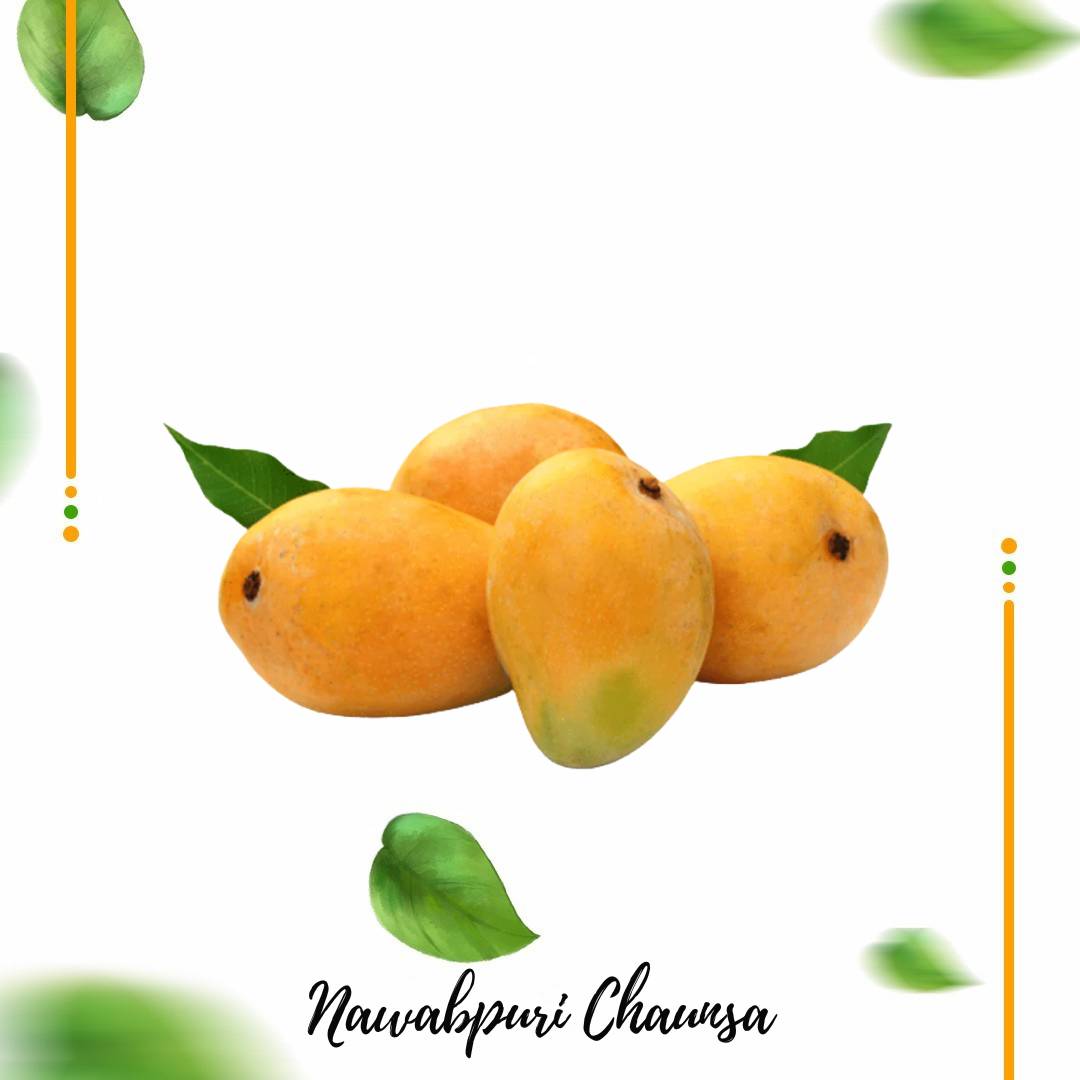 Nawab Puri Mango - Buy the Best Quality Mangoes Online